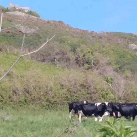 Vauville 50440 La Hague