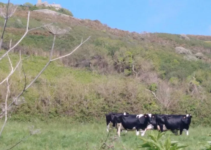 Vauville 50440 La Hague